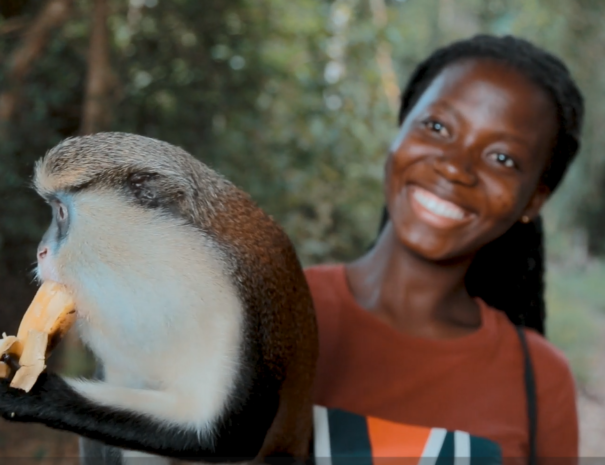 Monkey Sanctuary
