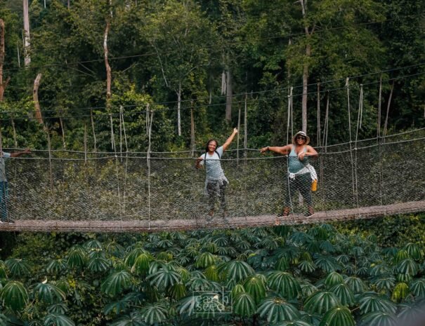 Canopy Walk